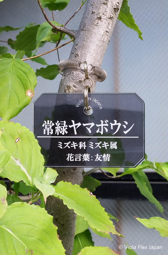 《 植物・樹木の名札 》プランツ特製ネームタグ 横型 【 取付け用